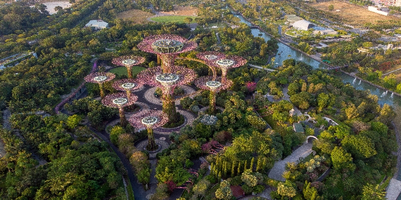 Gardens by the Bay dazzles visitors with its futuristic Supertree Grove and domes, a blend of nature and technology.