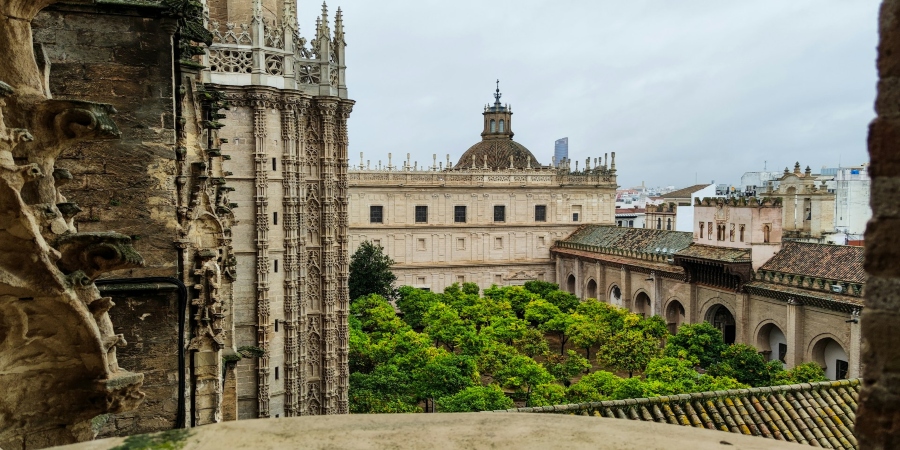 A stunning image of Seville Cathedral captures the soulful beauty of the iconic landmark, showcasing its majestic grandeur.