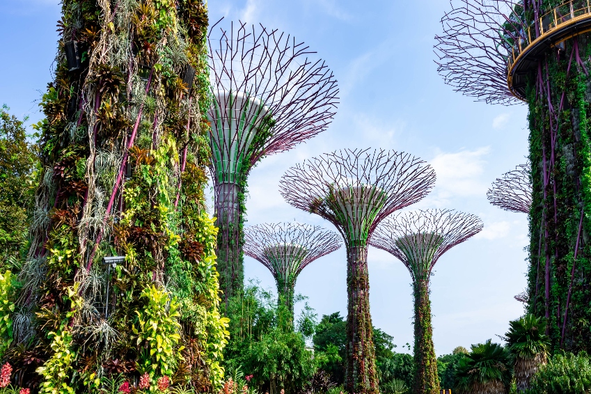 Scenic views of Gardens by the Bay