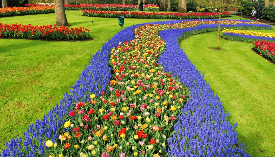 Keukenhof Gardens amsterdam