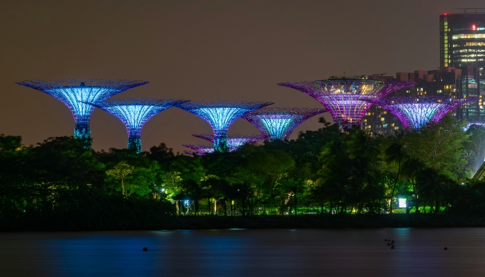 A beautiful view of Gardens by the Bay in evening.