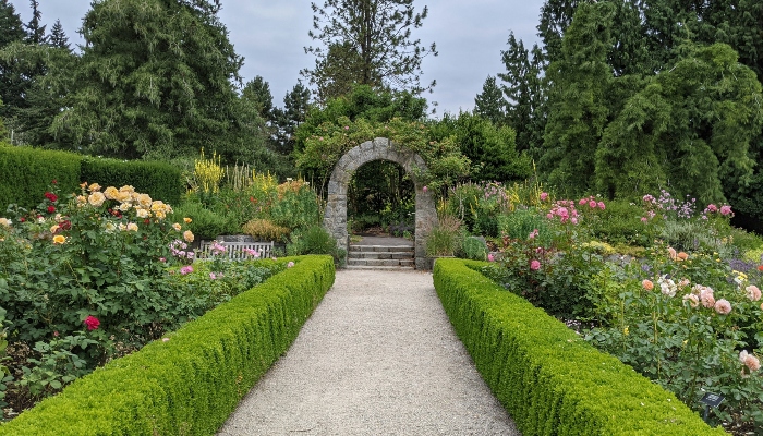 The green space, VanDusen Botanical Garden in the heart of Vancouver City.