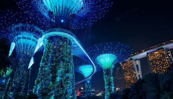 Spectacular Supertree Grove lit up at Gardens by the Bay, an essential highlight along many Singapore sightseeing bus routes.