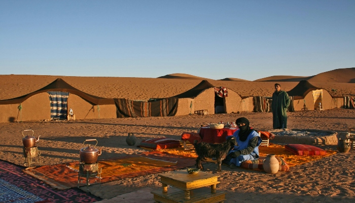 Bedouin tents and decorated camp under clear evening sky, showing the cultural experience offered by premium Dubai Desert Safari Tours.