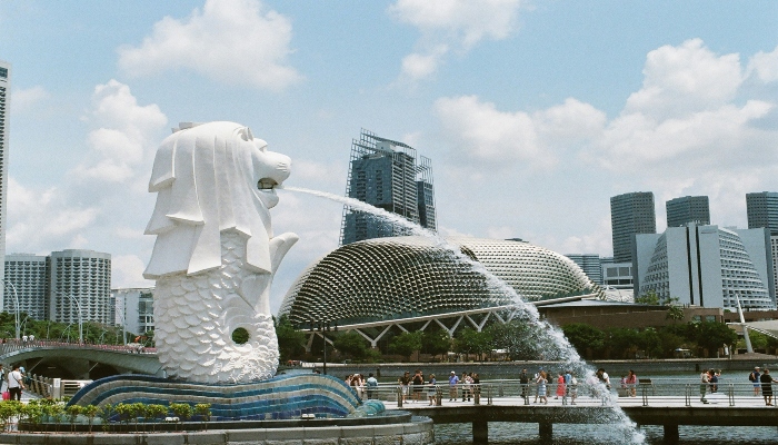Merlion statue overlooking Marina Bay waterfront with Singapore skyline in daylight, ideal for a Singapore sightseeing bus comparison guide hero image.