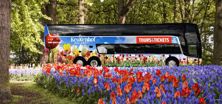 Keukenhof shuttle bus parked among blooming tulips and spring flowers, offering easy transport to the gardens.