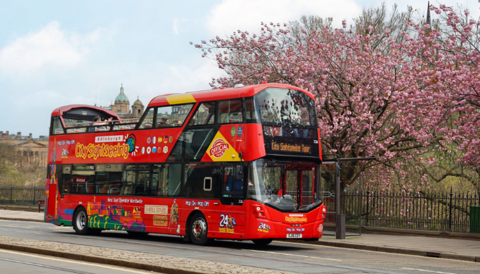 City Sightseeing hop-on hop-off bus passing cherry blossom trees in spring.