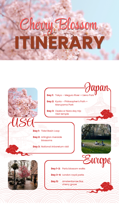 Cherry blossom travel itinerary for Japan, USA, and Europe showing top sakura viewing routes for 2026.