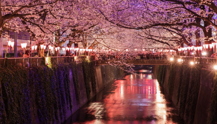 Tokyo metro train representing efficient public transport system for city travel.