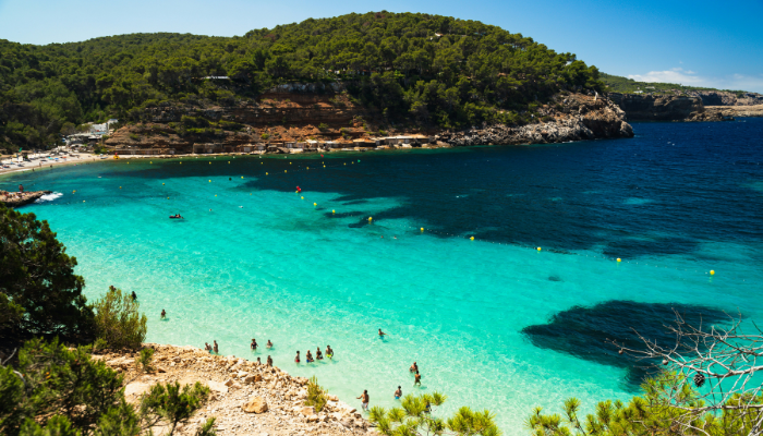 Crystal-clear turquoise bay with swimmers near a forested coastline in Ibiza, Spain.