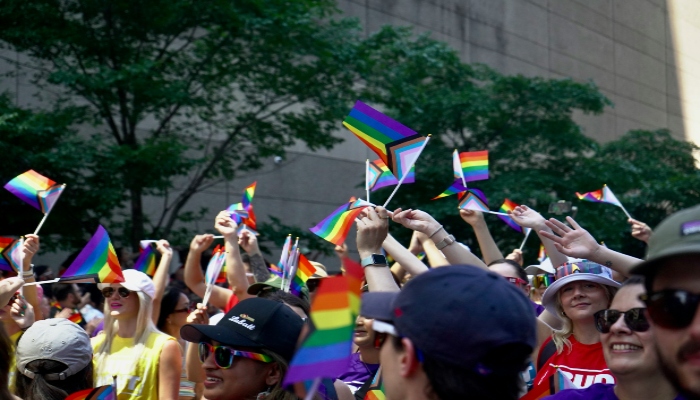 Toronto Pride festival crowd holding rainbow flags during outdoor LGBTQ+ community celebration.