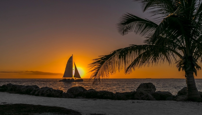 Sunset sailing boat near Key West shoreline with palm tree silhouette in Florida Keys.