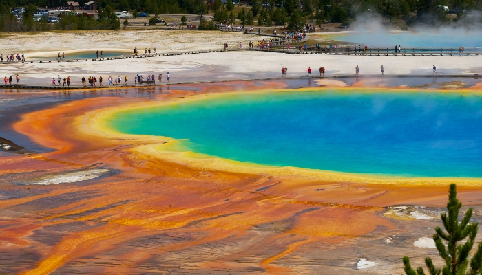 Grand Prismatic Spring in Yellowstone National Park with colorful geothermal landscape in summer.