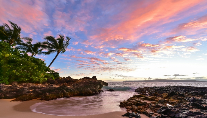 Tropical Maui beach with palm trees and sunset sky along Hawaii’s scenic coastline.