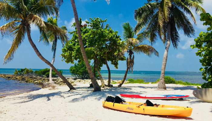 Sunny beach in Key West with palm trees, kayaks, and clear blue waters in one of Florida’s most LGBTQ-friendly island escapes.