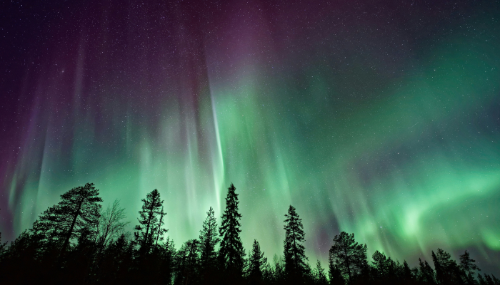 Green and purple Northern Lights illuminating the night sky over Iceland