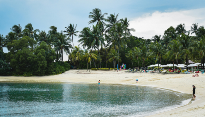 Sandy beach and calm turquoise water surrounded by palm trees on Sentosa Island, Singapore.