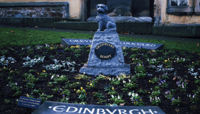 Greyfriars Bobby statue in Edinburgh's Greyfriars Kirkyard